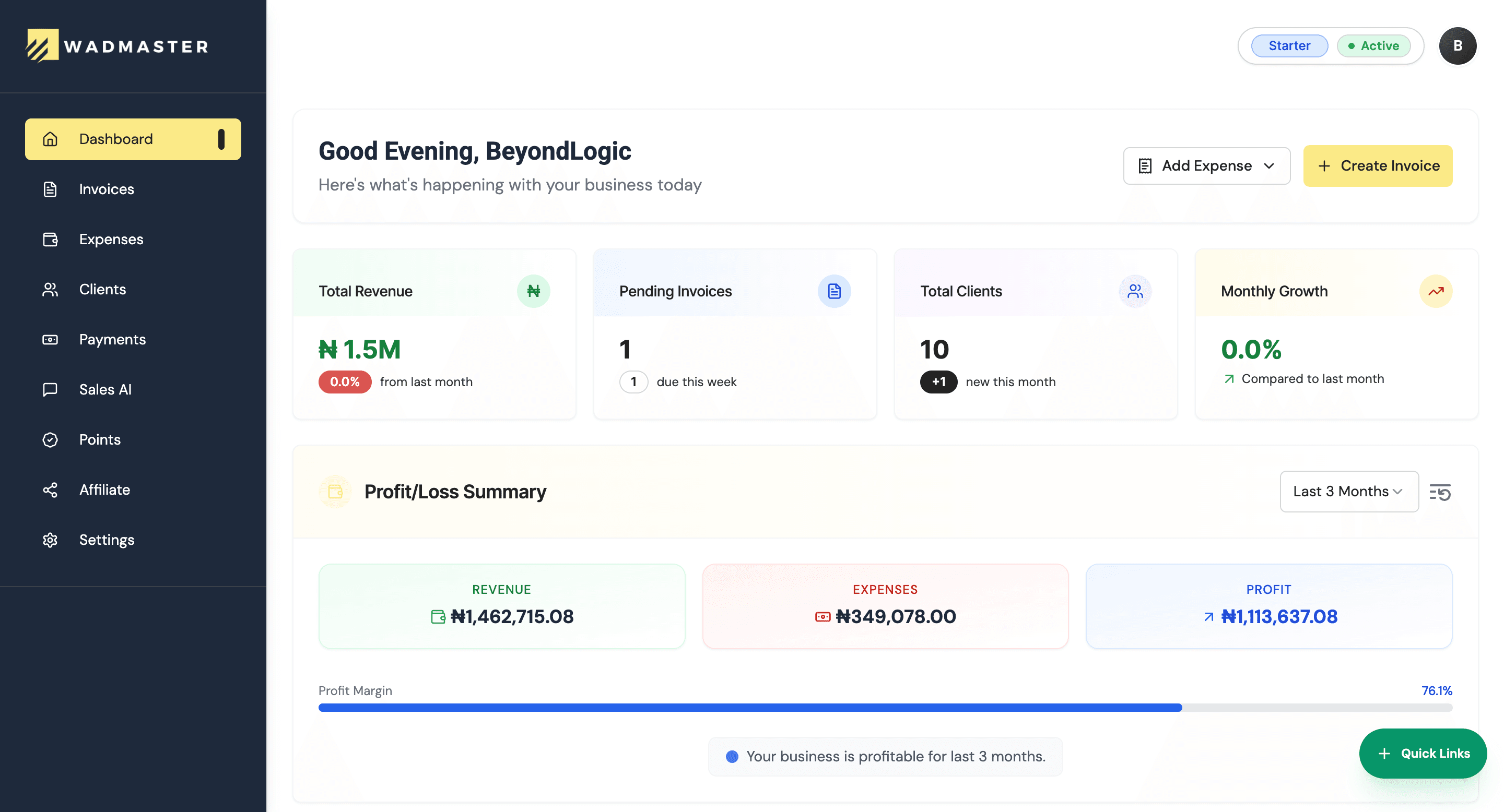 The WadMaster dashboard: revenue, pending invoices and a profit and loss summary